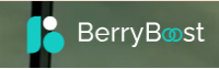 Best IT Company in Lahore — BerryBoost
