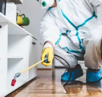 Dead Animal Removal Services Perth