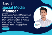 I will be your social media manager and content creator