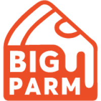 Big Parm | Pizza Restaurant