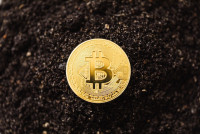 Kryptolog.eu