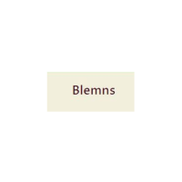 Online Blemns store