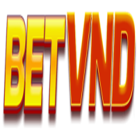 betvnd net