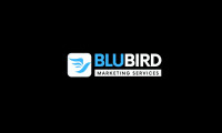 Blubird Marketing Services