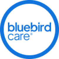 BlueBirdBarnet