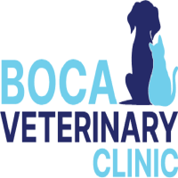 Boca Veterinary Clinic