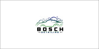 Bosch Detailing
