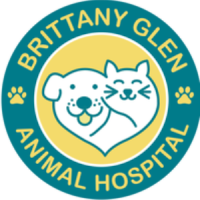 The Cat Hospital Mississauga