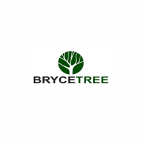 Bryce Tree Service