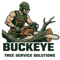 Buckeye Tree Service Solutions
