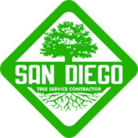 San Diego Tree Service Contractor