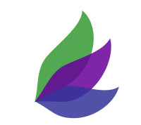 Barakat Insurance