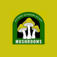 Buy albino ***** envy mushrooms online