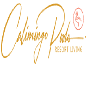 Calimingo Pools: Southern California Luxury Pool Builder Company