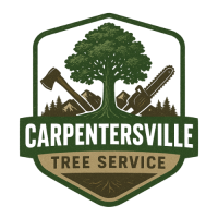 Carpentersville Tree Service