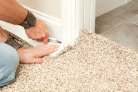 Geelong Carpet Services