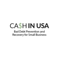CA$H IN USA Inc.