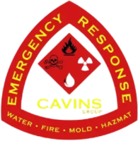 Cavins Group