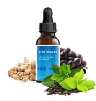 A Natural Way to Support Hearing Strength and Mental Energy