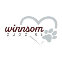 Winnsom Puppies