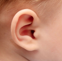 Ear Reshaping Surgery in Riyadh
