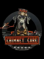 Chimney Services / Bad Ash Chimney Care
