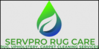 Pro Rug Cleaning Scarsdale