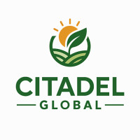Trusted Organic Dehydrated Vegetable Powder Suppliers in India
