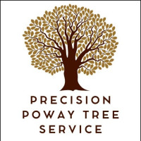 Precision Poway Tree Service