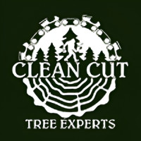 Clean Cut Tree Experts