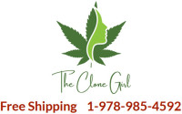 The Clone Girl
