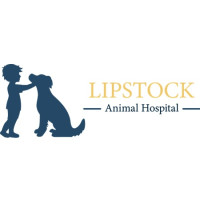 Lipstock Animal Hospital