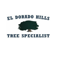 El Dorado Hills Tree Specialist