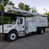 ClearTree, LLC