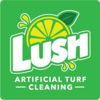Lush Artificial Turf Cleaning