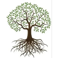 Kingdom Tree Services
