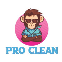 Pro Clean