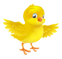 Flour Chicks Bakery