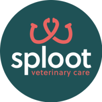 Sploot Veterinary Care - Interquest