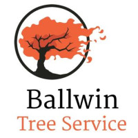 Ballwin Tree Service
