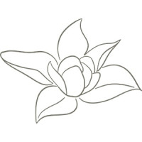 The Magnolia KC Group