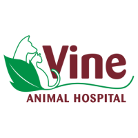 Vine Animal Hospital