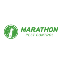 Marathon Pest Control