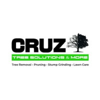 Cruz Tree Solutions and More