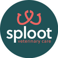 Sploot Veterinary Care - Lincoln Park