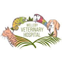 Welleby Veterinary Hospital