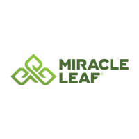Miracle Leaf Medical Mariju​​ana Doctor