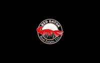 Red Gator Real Estate