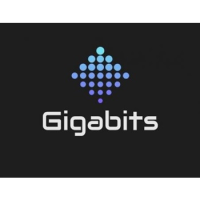 Gigabits Computer Repair and IT Solutions