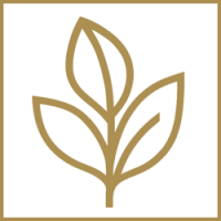 Vertera Financial